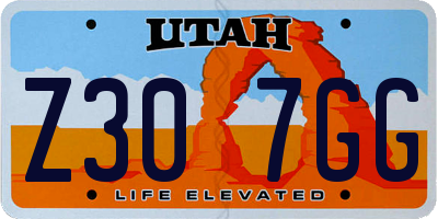 UT license plate Z307GG