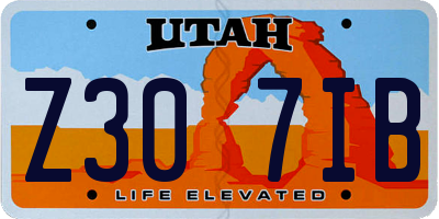 UT license plate Z307IB