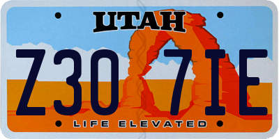 UT license plate Z307IE