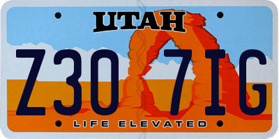 UT license plate Z307IG