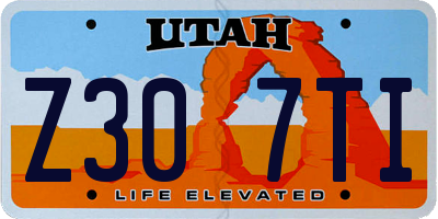 UT license plate Z307TI