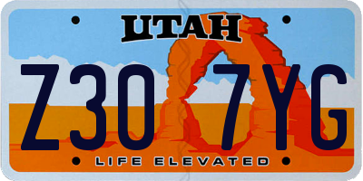 UT license plate Z307YG