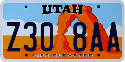 UT license plate Z308AA