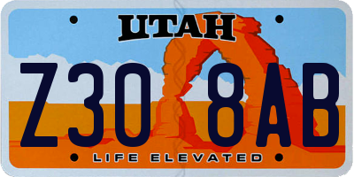 UT license plate Z308AB