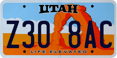 UT license plate Z308AC