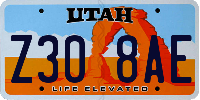 UT license plate Z308AE