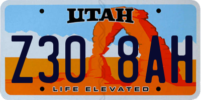 UT license plate Z308AH