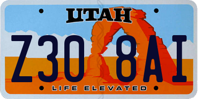 UT license plate Z308AI