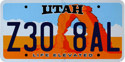 UT license plate Z308AL