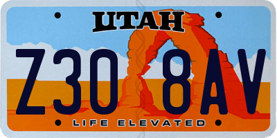 UT license plate Z308AV