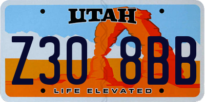 UT license plate Z308BB