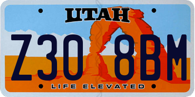 UT license plate Z308BM
