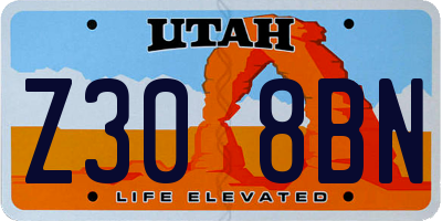 UT license plate Z308BN