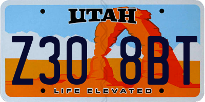 UT license plate Z308BT