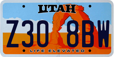 UT license plate Z308BW