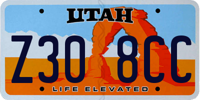 UT license plate Z308CC