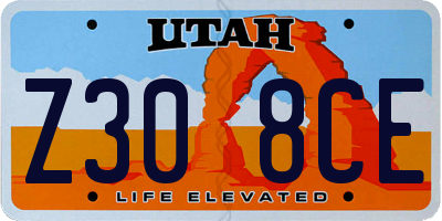 UT license plate Z308CE