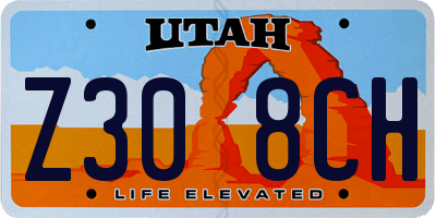 UT license plate Z308CH
