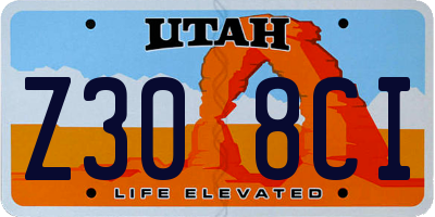 UT license plate Z308CI