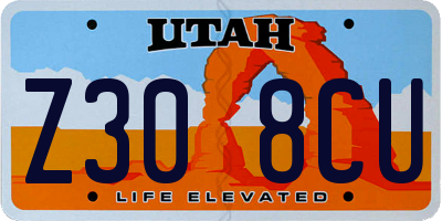 UT license plate Z308CU