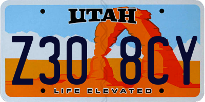 UT license plate Z308CY