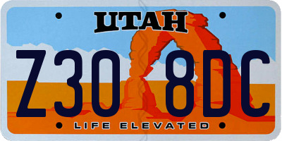 UT license plate Z308DC