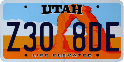 UT license plate Z308DE