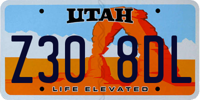 UT license plate Z308DL