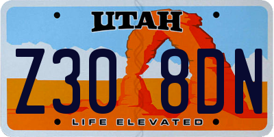 UT license plate Z308DN