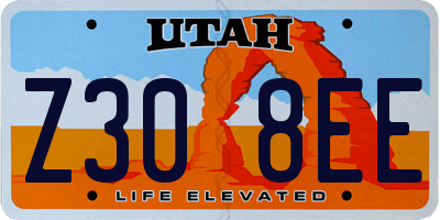 UT license plate Z308EE
