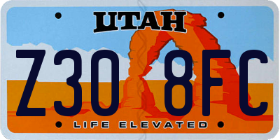 UT license plate Z308FC
