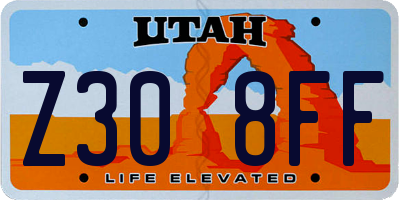 UT license plate Z308FF