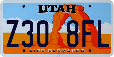 UT license plate Z308FL
