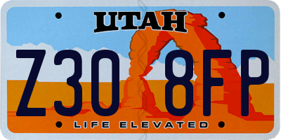 UT license plate Z308FP