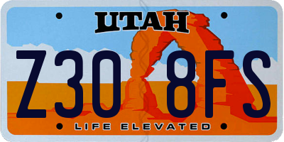 UT license plate Z308FS