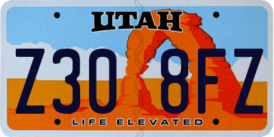 UT license plate Z308FZ