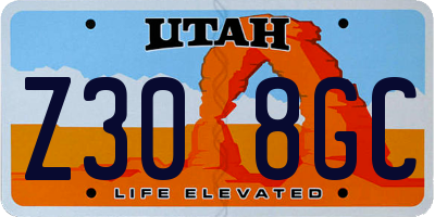 UT license plate Z308GC