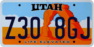 UT license plate Z308GJ