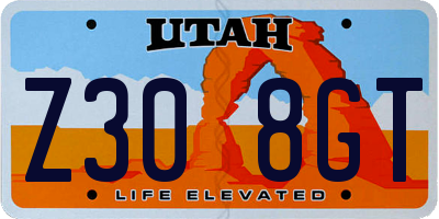 UT license plate Z308GT