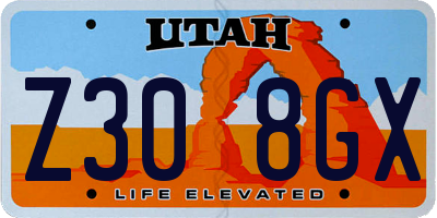 UT license plate Z308GX