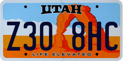 UT license plate Z308HC