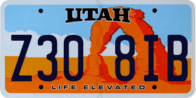 UT license plate Z308IB