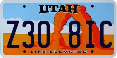 UT license plate Z308IC