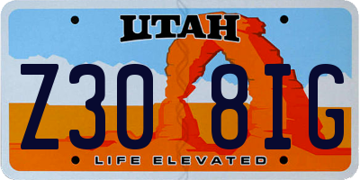 UT license plate Z308IG