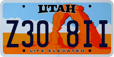 UT license plate Z308II