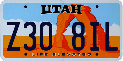 UT license plate Z308IL