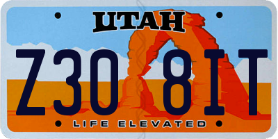 UT license plate Z308IT
