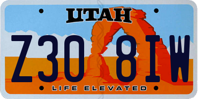 UT license plate Z308IW