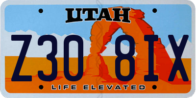 UT license plate Z308IX