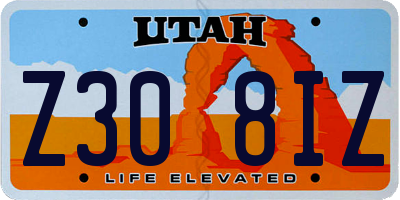UT license plate Z308IZ